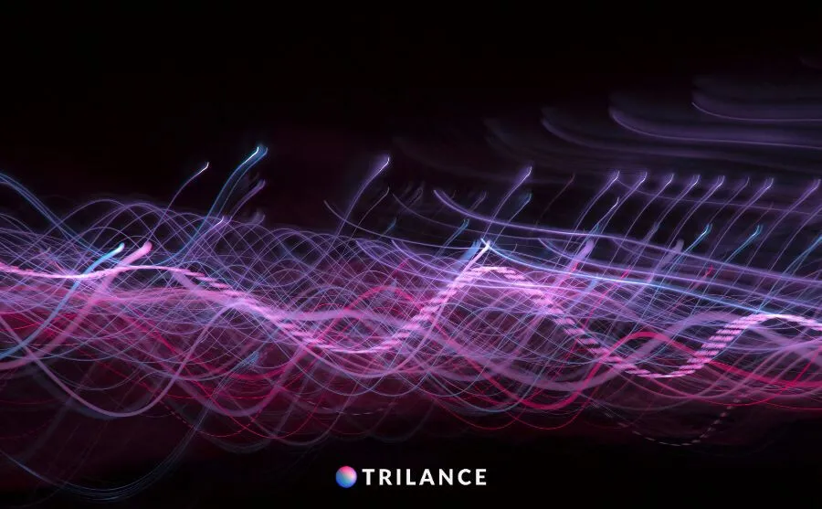 Sistema Informativo Integrato SII