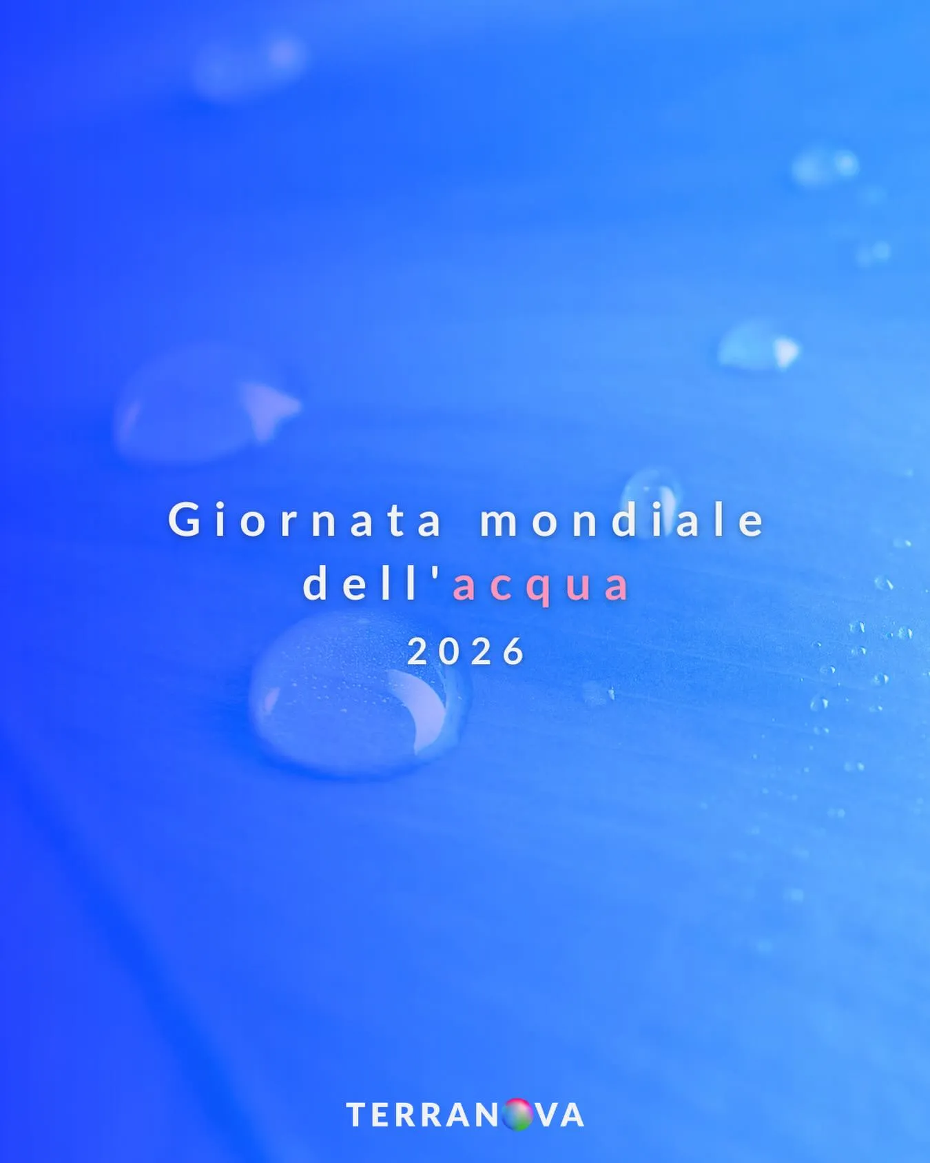 terranova-instagram-feed-153