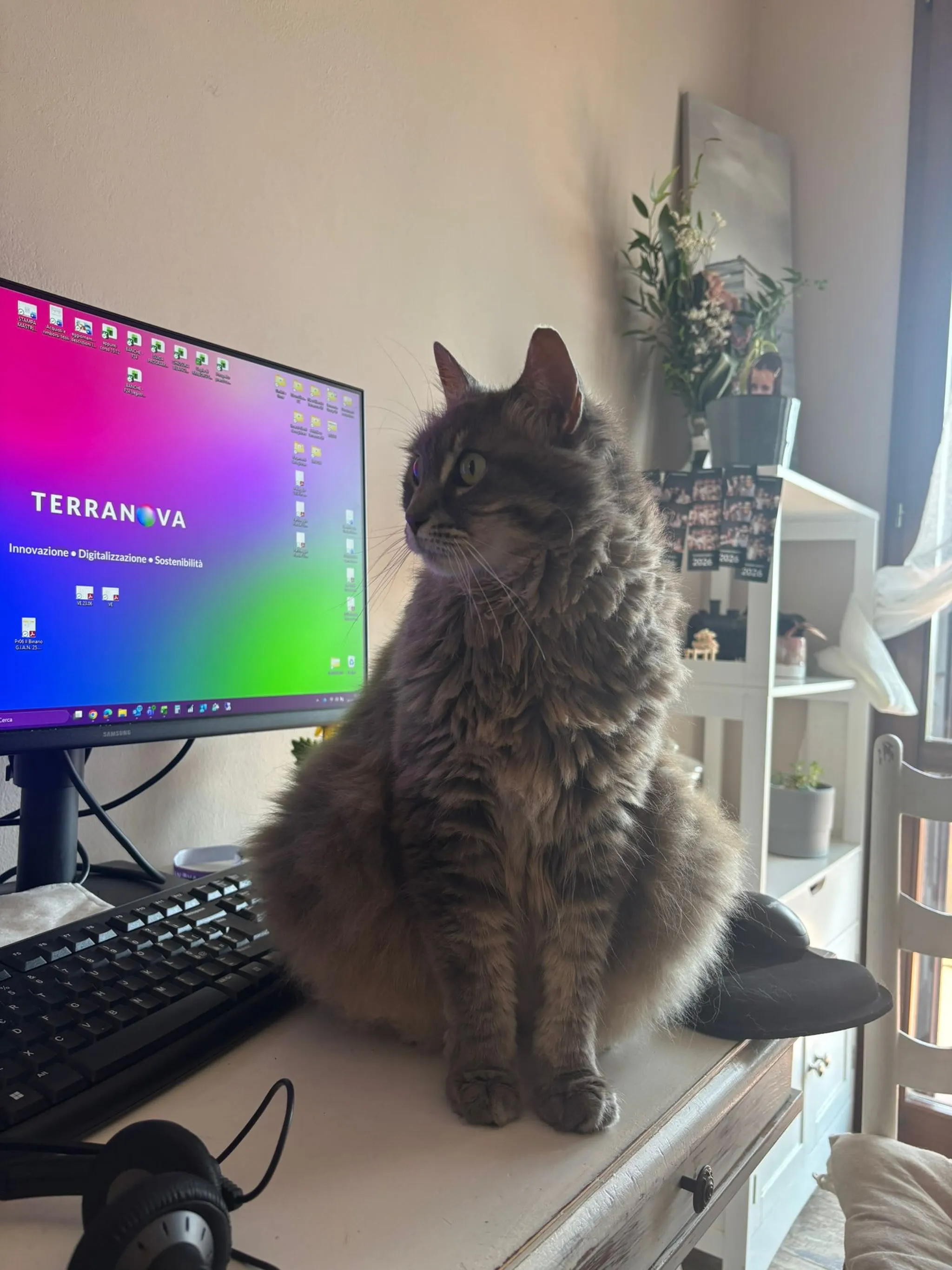 terranova-instagram-feed-193